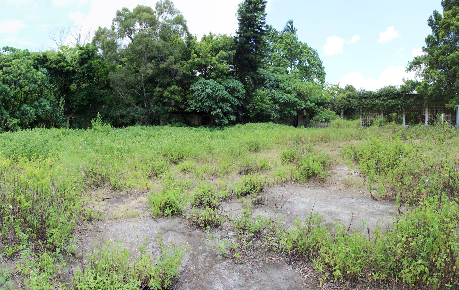 Photo 1: Former Lam Tsuen Public School