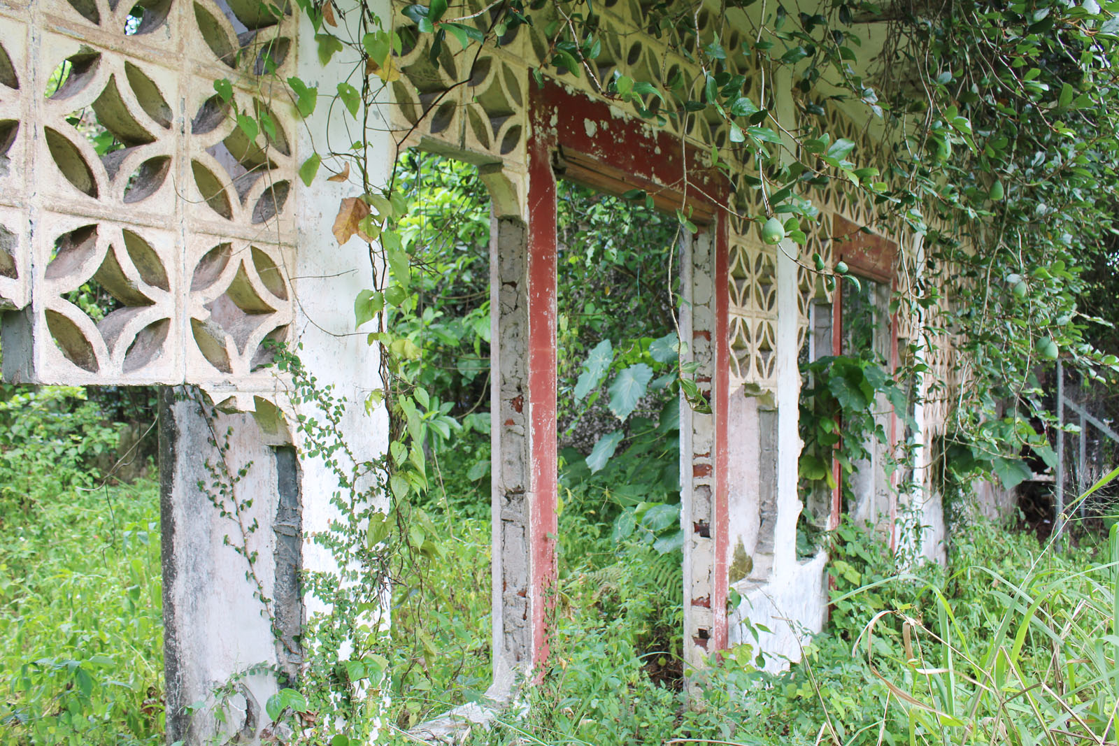 Photo 3: Former Lam Tsuen Public School