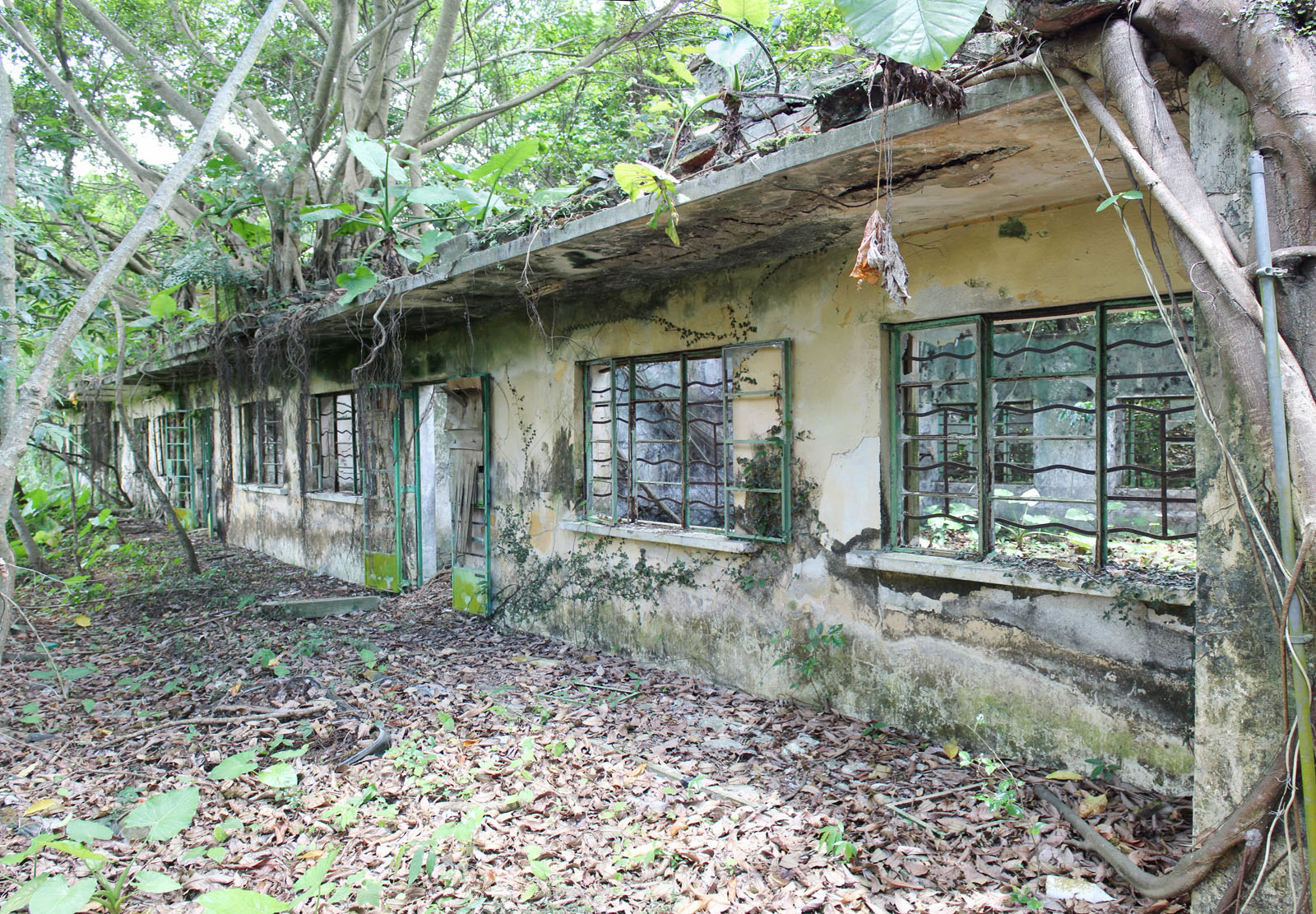 Photo 5: Former Lam Tsuen Public School