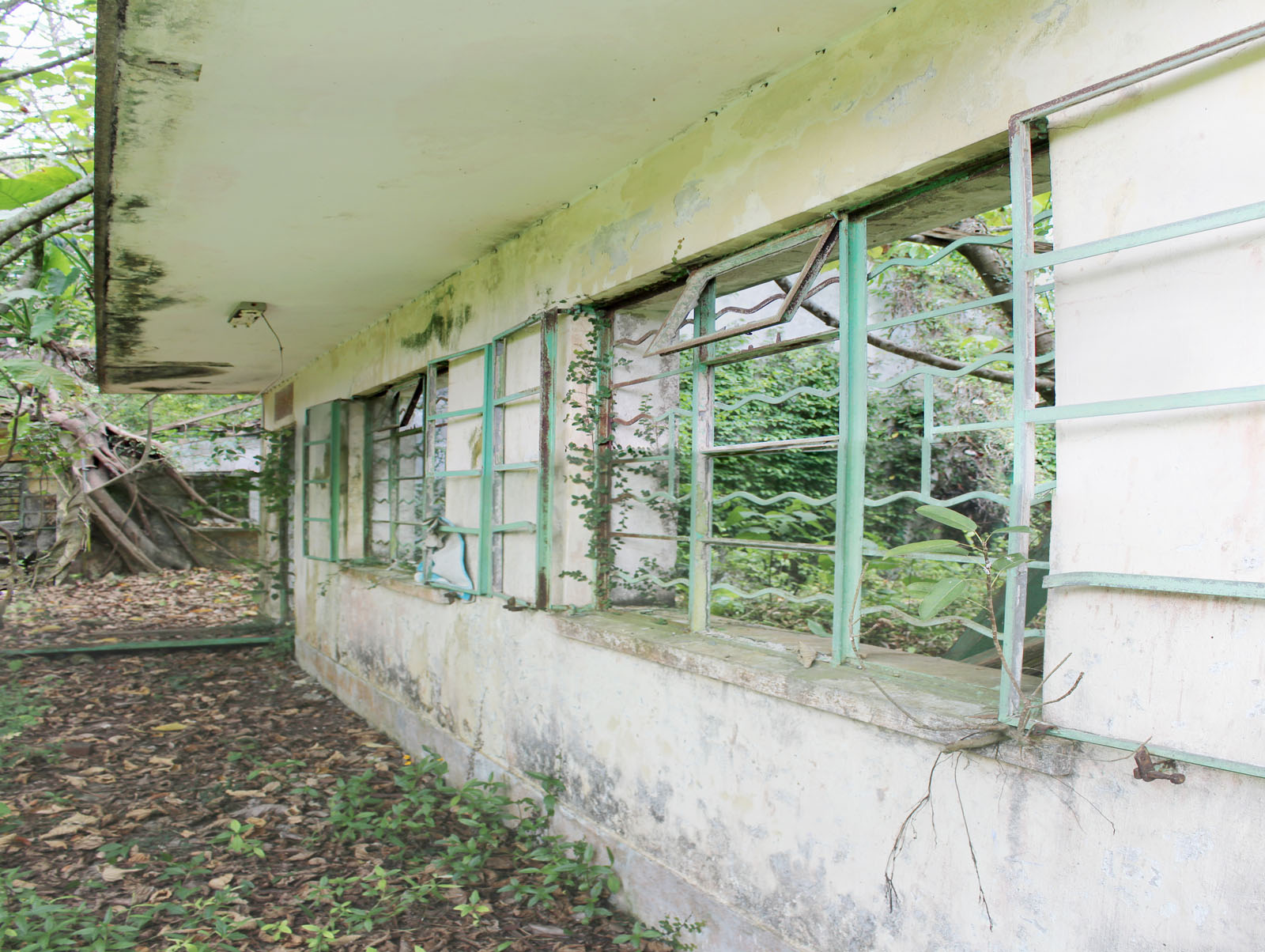 Photo 6: Former Lam Tsuen Public School