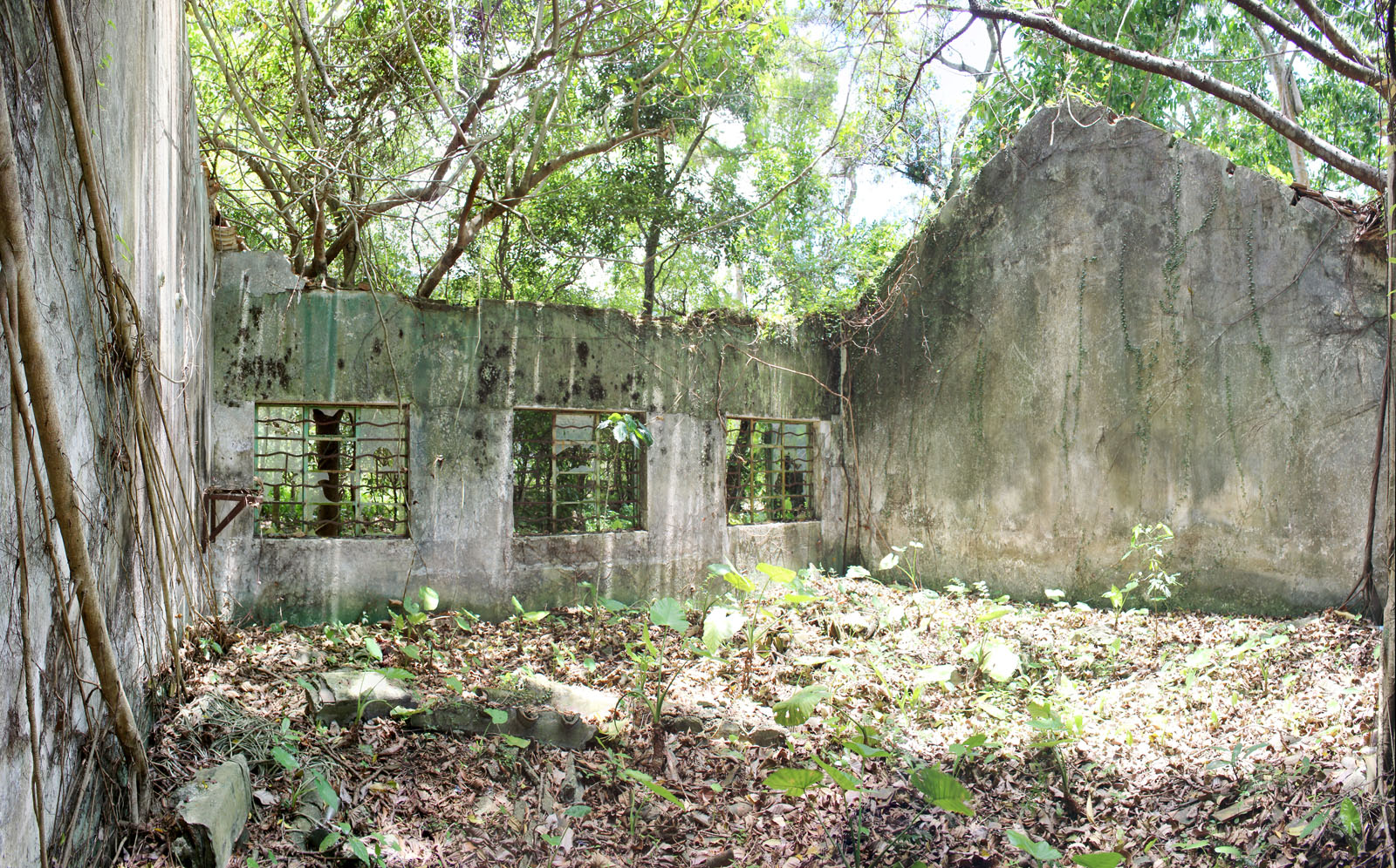 Photo 7: Former Lam Tsuen Public School