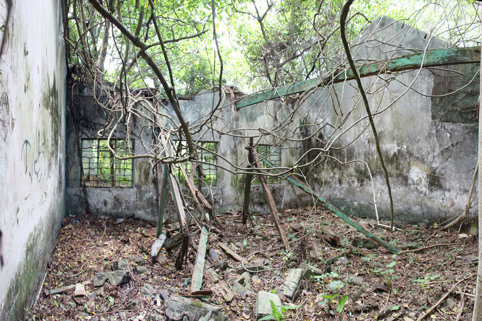 Photo 8: Former Lam Tsuen Public School