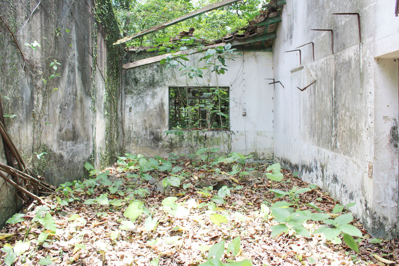 Photo 9: Former Lam Tsuen Public School