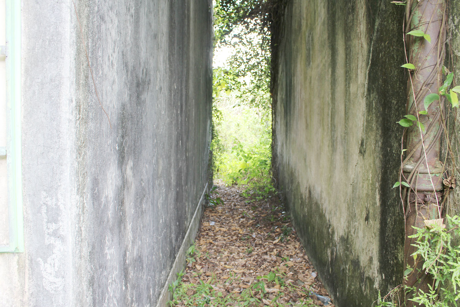 Photo 10: Former Lam Tsuen Public School