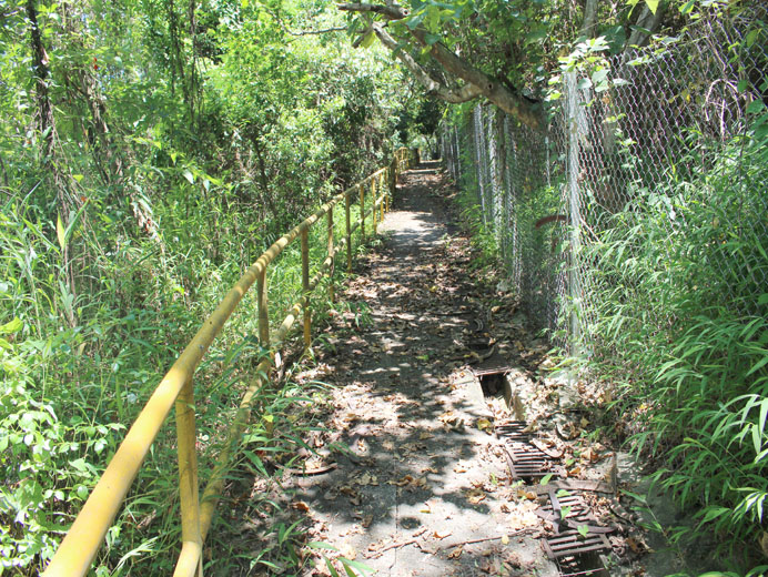 Photo 2: Former Ming Tak School