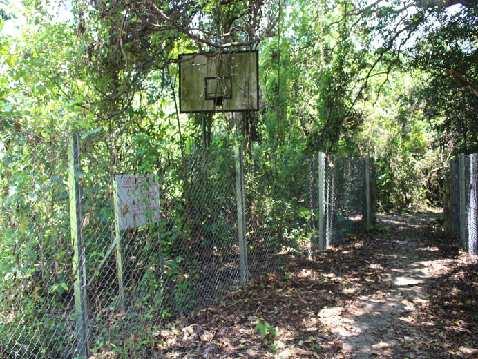 Photo 8: Former Ming Tak School