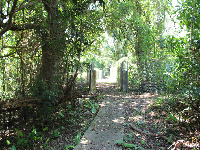 Photo 9: Former Ming Tak School