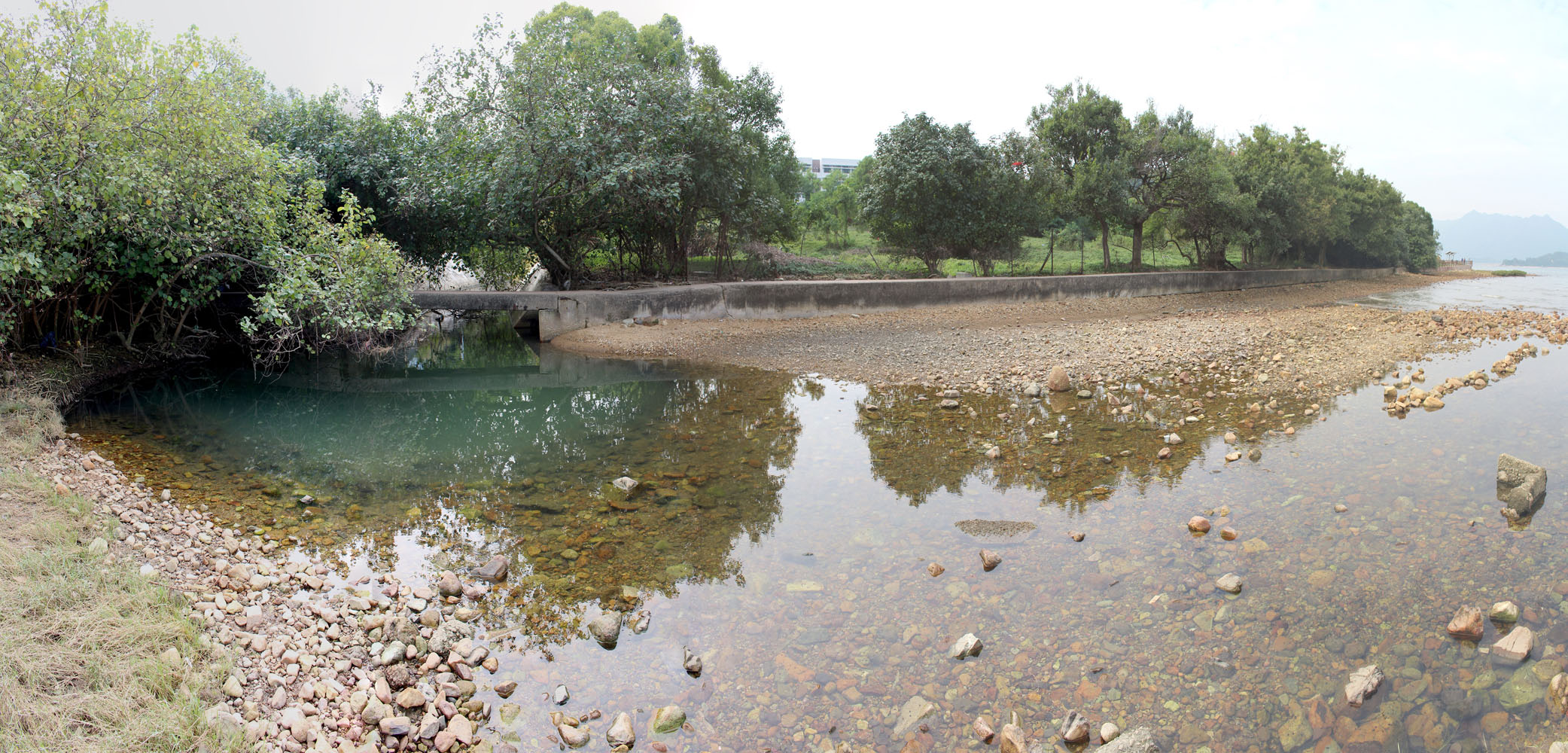 Photo 2: Shingle Beach in Nai Chung