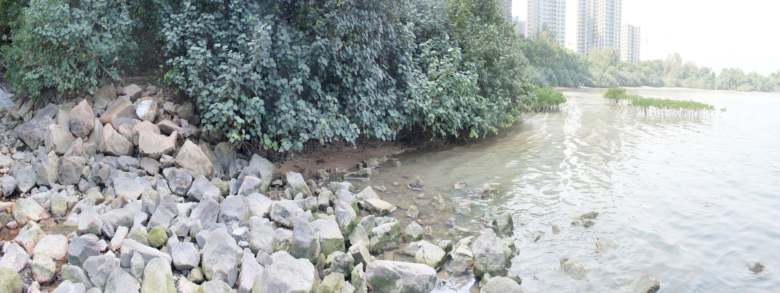 Photo 3: Beach at Hoi Sing Wan