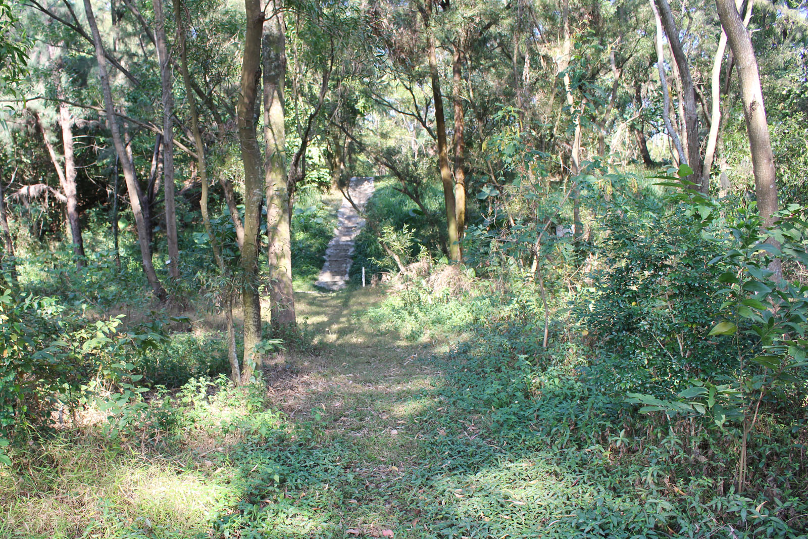 Photo 2: Ngau Tam Mei Closed Landfill