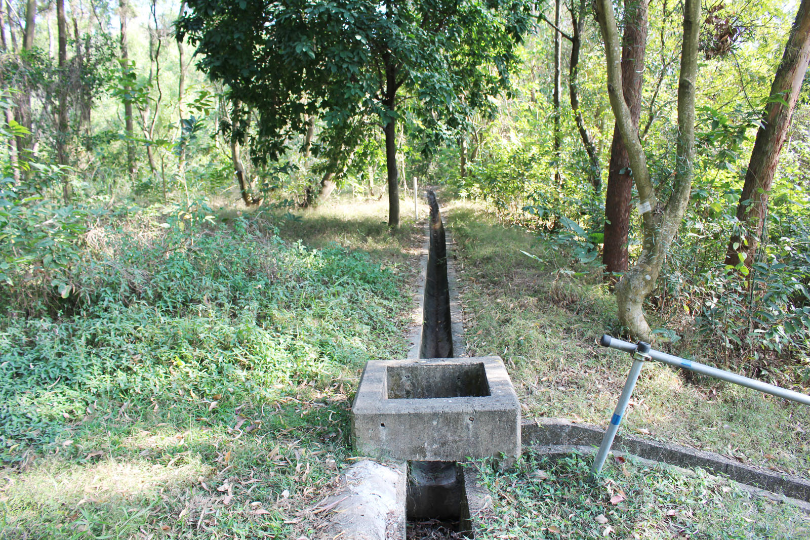 Photo 4: Ngau Tam Mei Closed Landfill