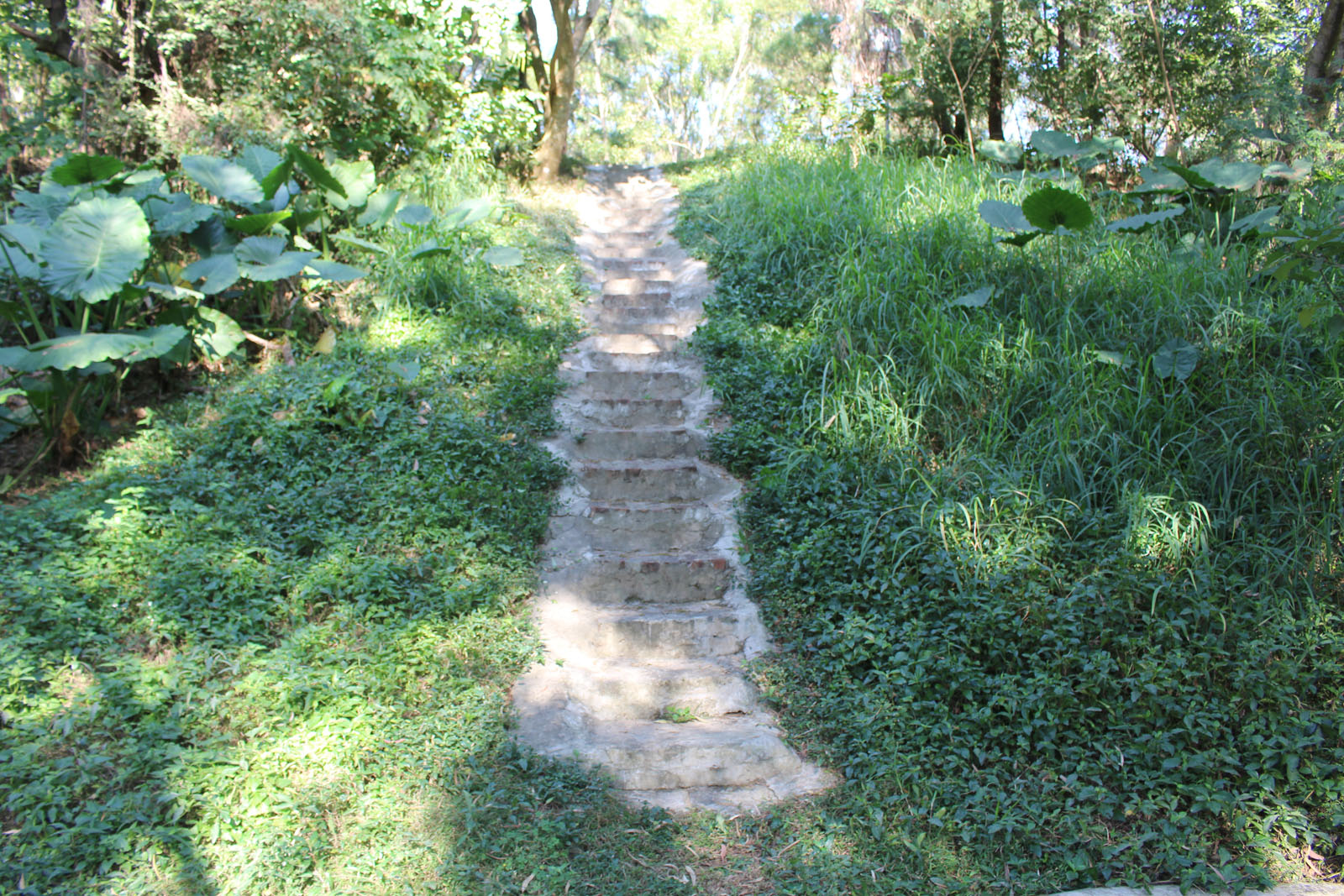 Photo 6: Ngau Tam Mei Closed Landfill