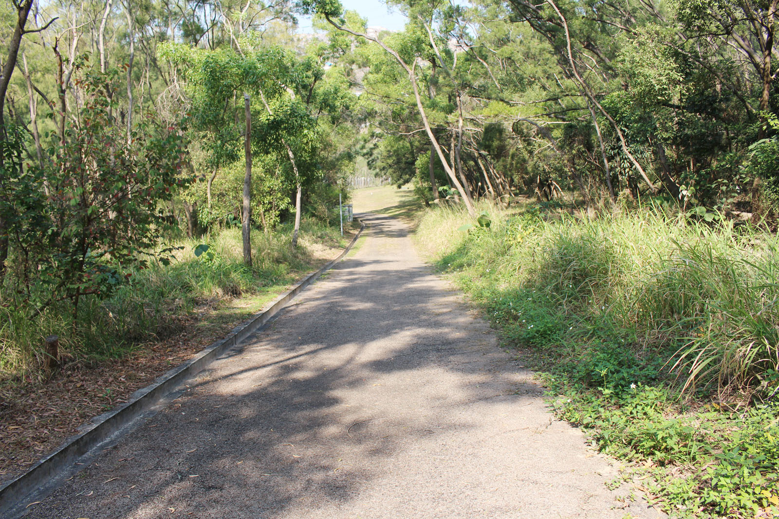 Photo 4: Siu Lang Shui Closed Landfill