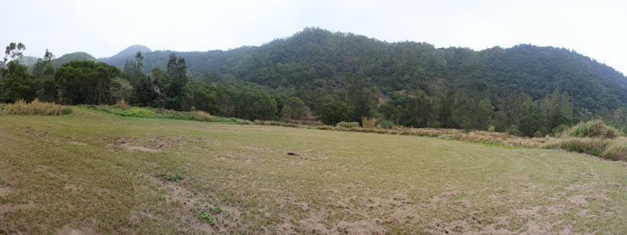 Photo 4: Tseung Kwan O Stage II/III Closed Landfill