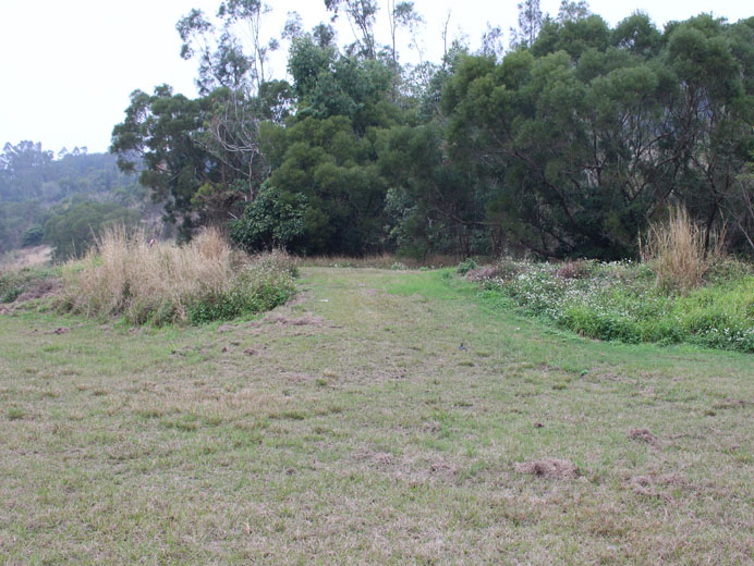 Photo 5: Tseung Kwan O Stage II/III Closed Landfill