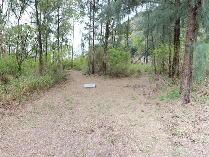 Photo 5: Pillar Point Valley Closed Landfill