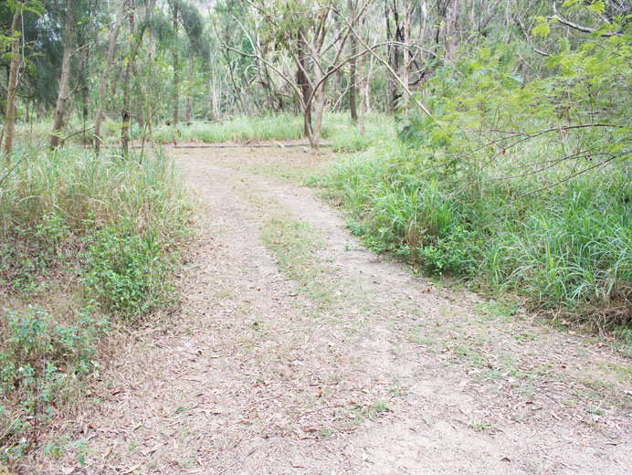 Photo 6: Pillar Point Valley Closed Landfill