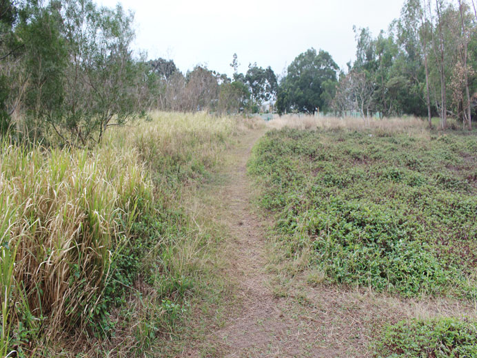 Photo 3: Ma Yau Tong (Central) Closed Landfill