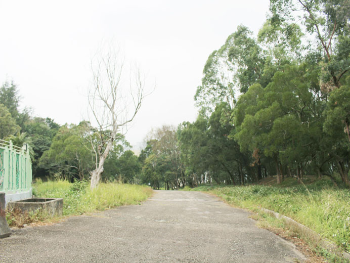 Photo 5: Ma Yau Tong (Central) Closed Landfill