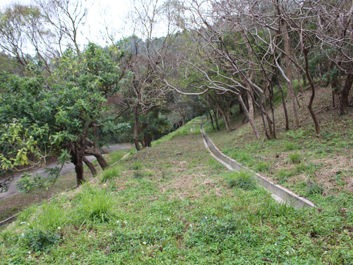 Photo 6: Ma Yau Tong (Central) Closed Landfill