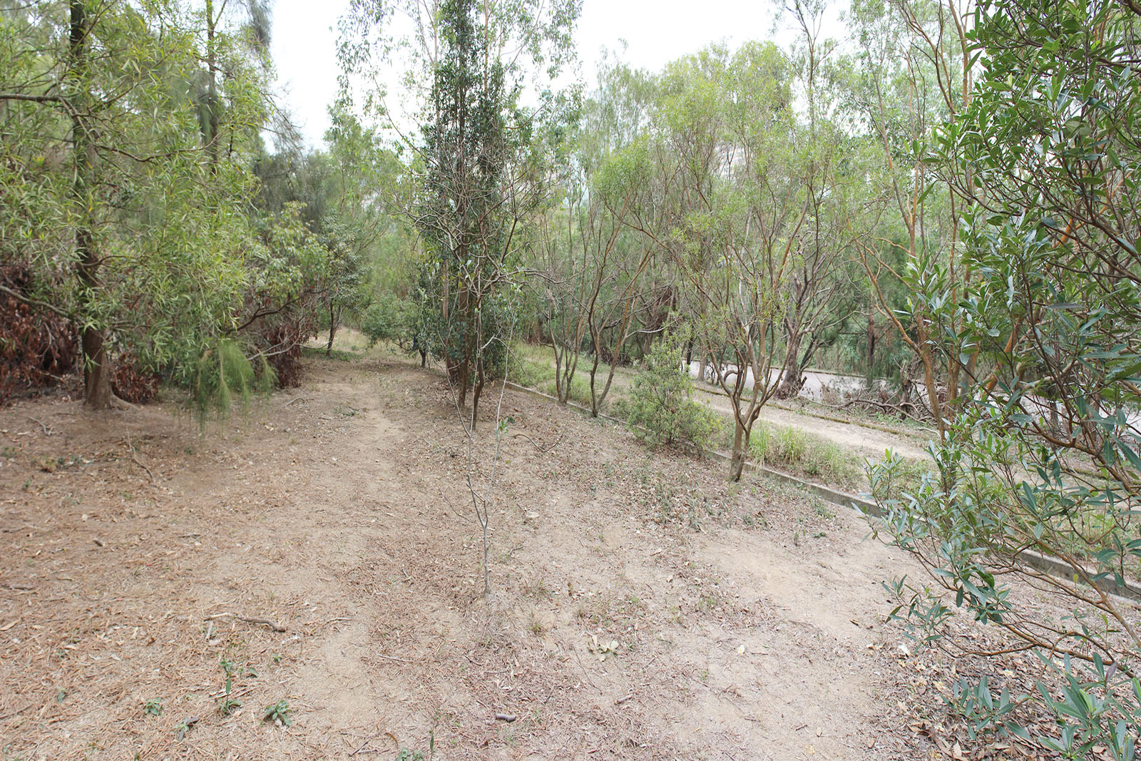 Photo 4: Jordan Valley Closed Landfill