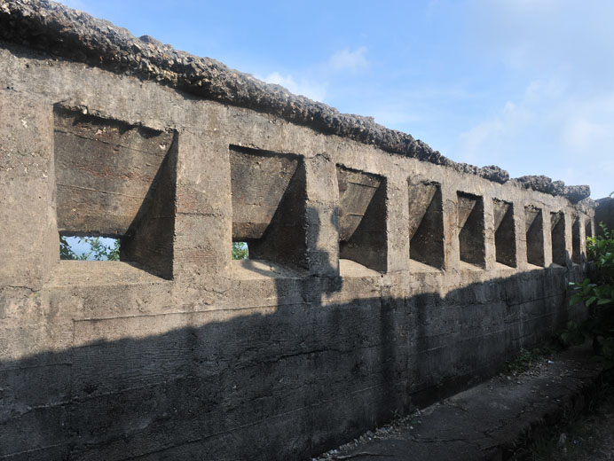 Photo 4: Fortifications at Devil's Peak