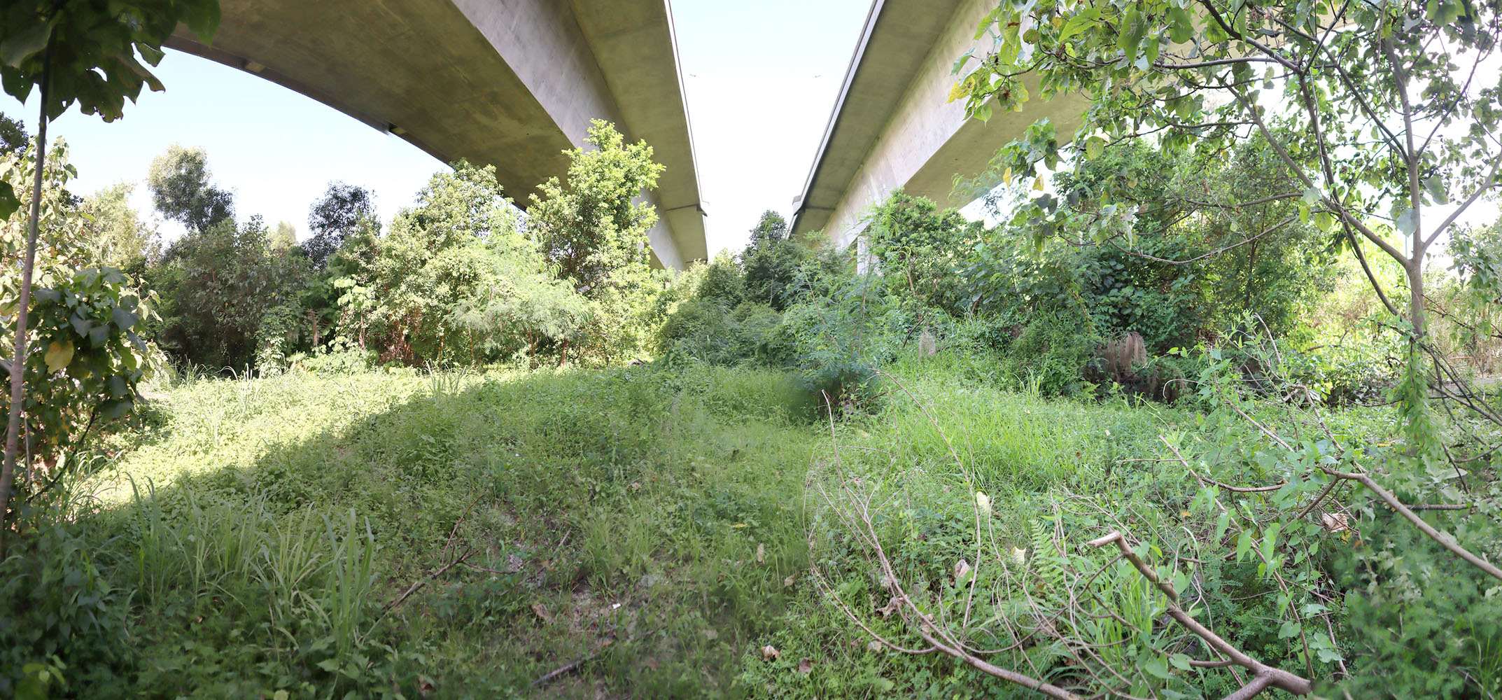 Government Land at Deep Bay Road (HT41)