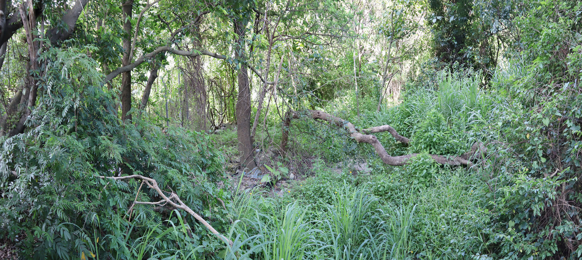 Photo 3: Government Land at Deep Bay Road (HT41)