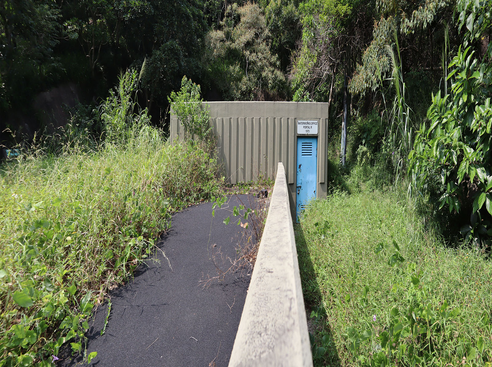 Photo 6: Open site off Pak Tam Chung Portal