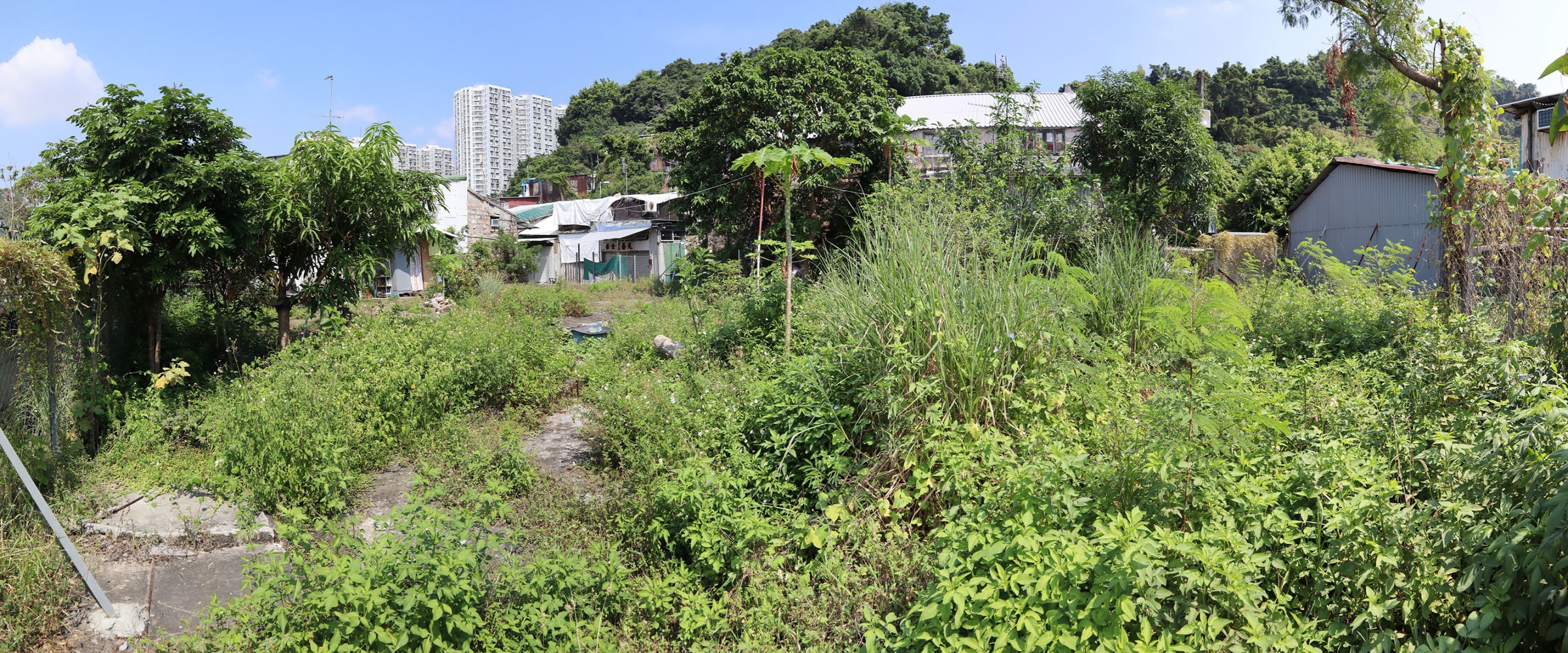 Photo 2: Government Land at Cha Kwo Ling Road