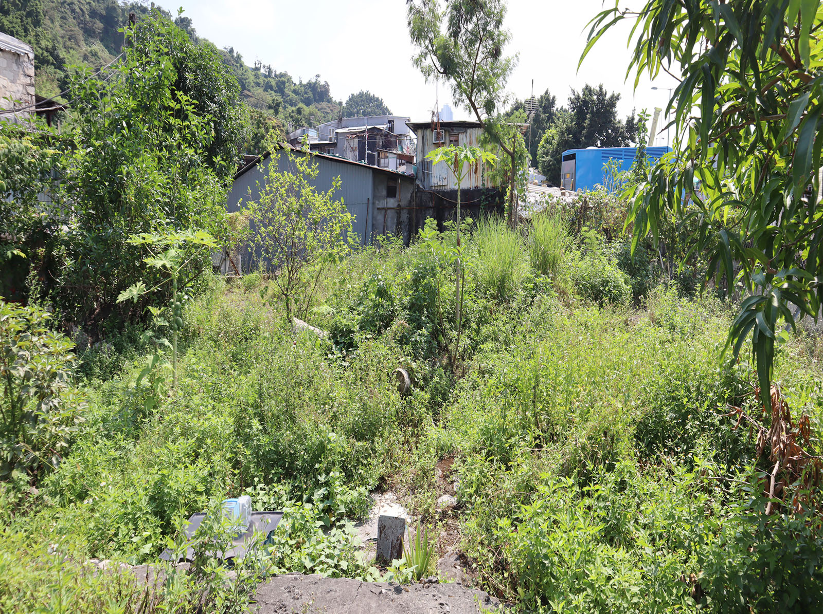 Photo 5: Government Land at Cha Kwo Ling Road