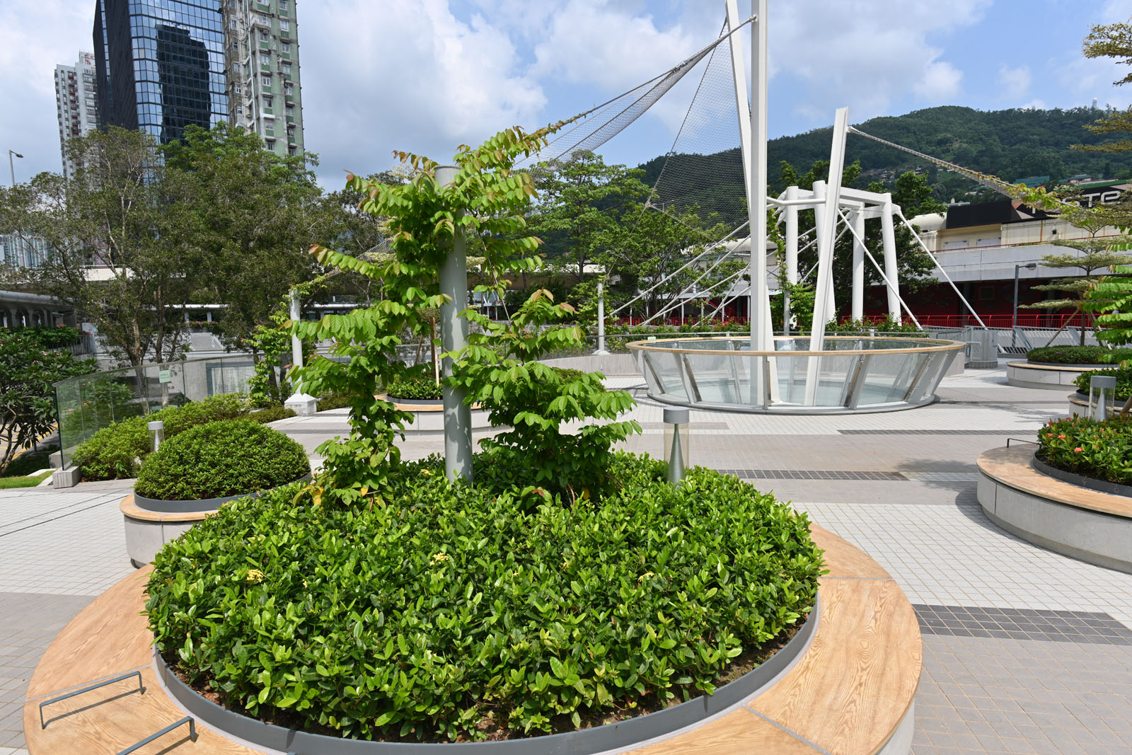 Photo 5: Sai Lau Kok Garden